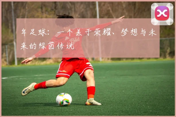 年足球：一个关于荣耀、梦想与未来的绿茵传说