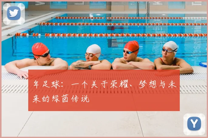 年足球：一个关于荣耀、梦想与未来的绿茵传说
